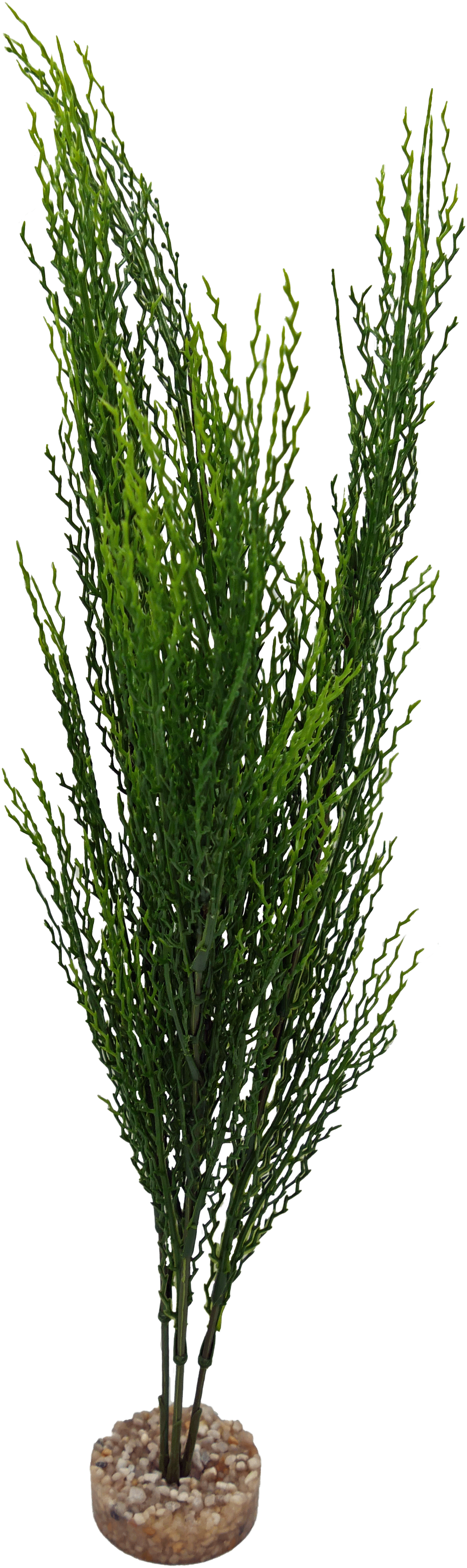 Labéo - Plante artificielle Herbe corail TGM verte - H.40 cm - Labéo