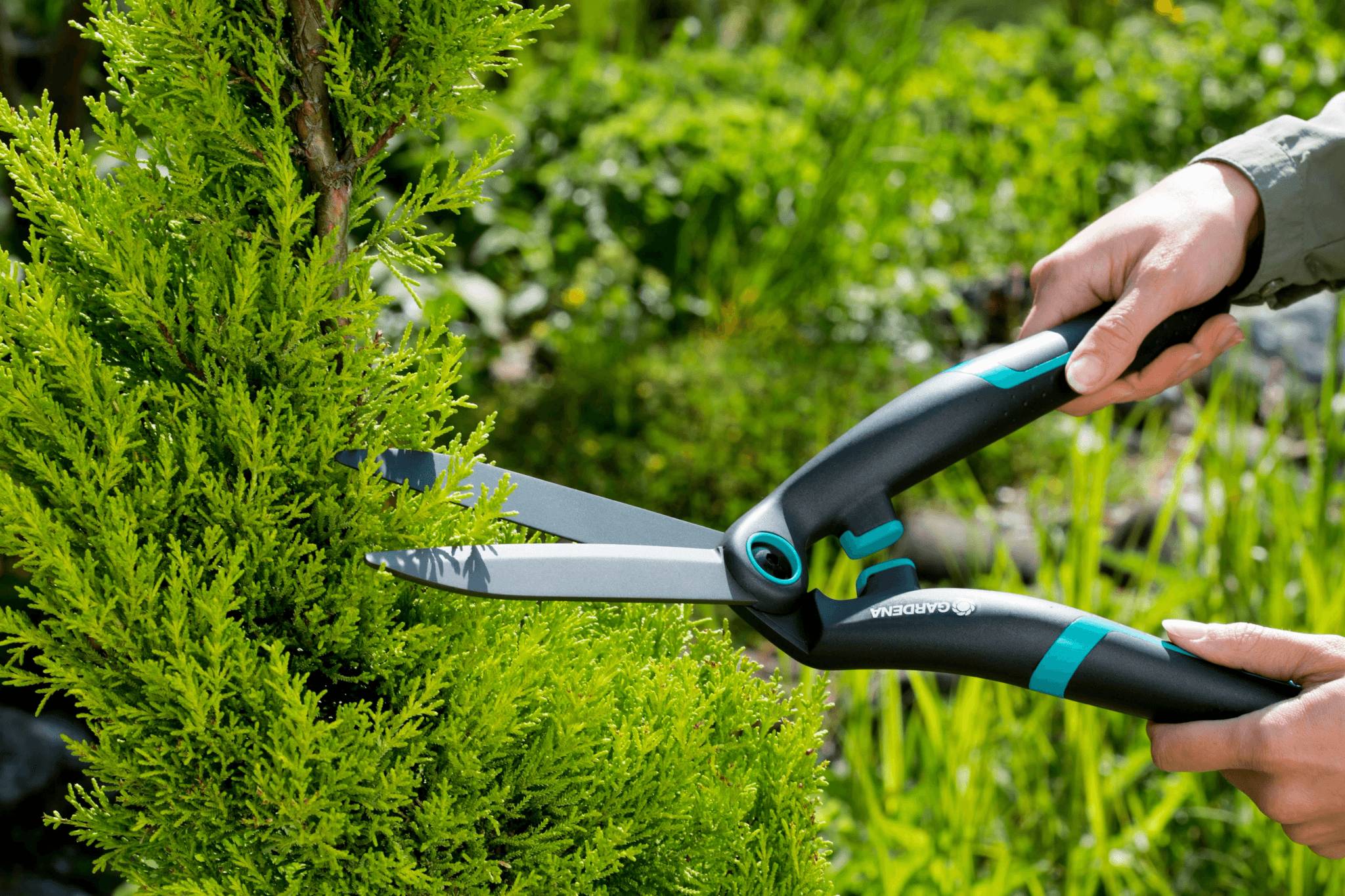 Gardena - Cisaille à Haies PrecisionCut - GARDENA - Image 7
