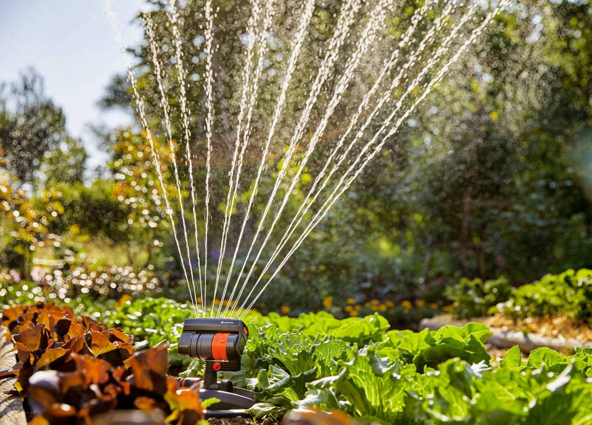 Gardena - Arroseur Oscillant AquaZoom Compact GARDENA - Imagen 2