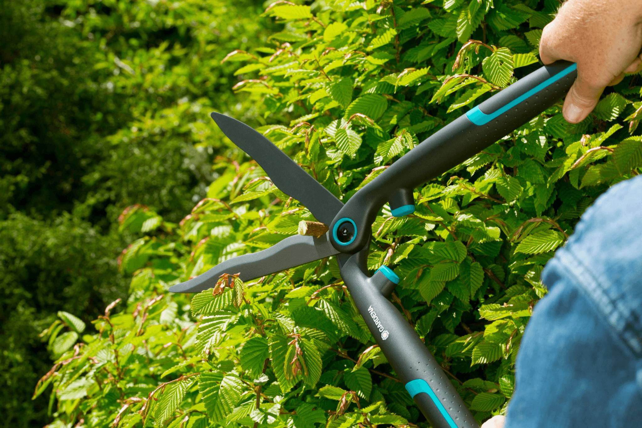 Gardena - Gardena - Cisaille à haies Easycut - Imagen 5