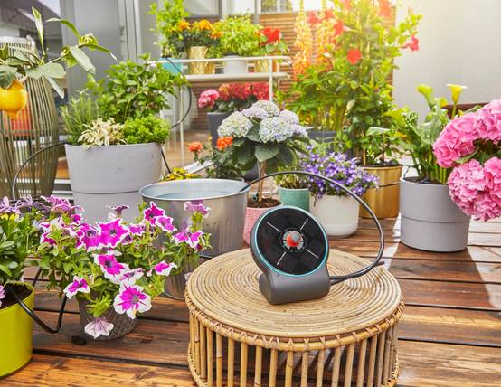 Gardena - Solution d'arrosage automatique solaire AquaBloom 14 programmes - Gardena - Image 6