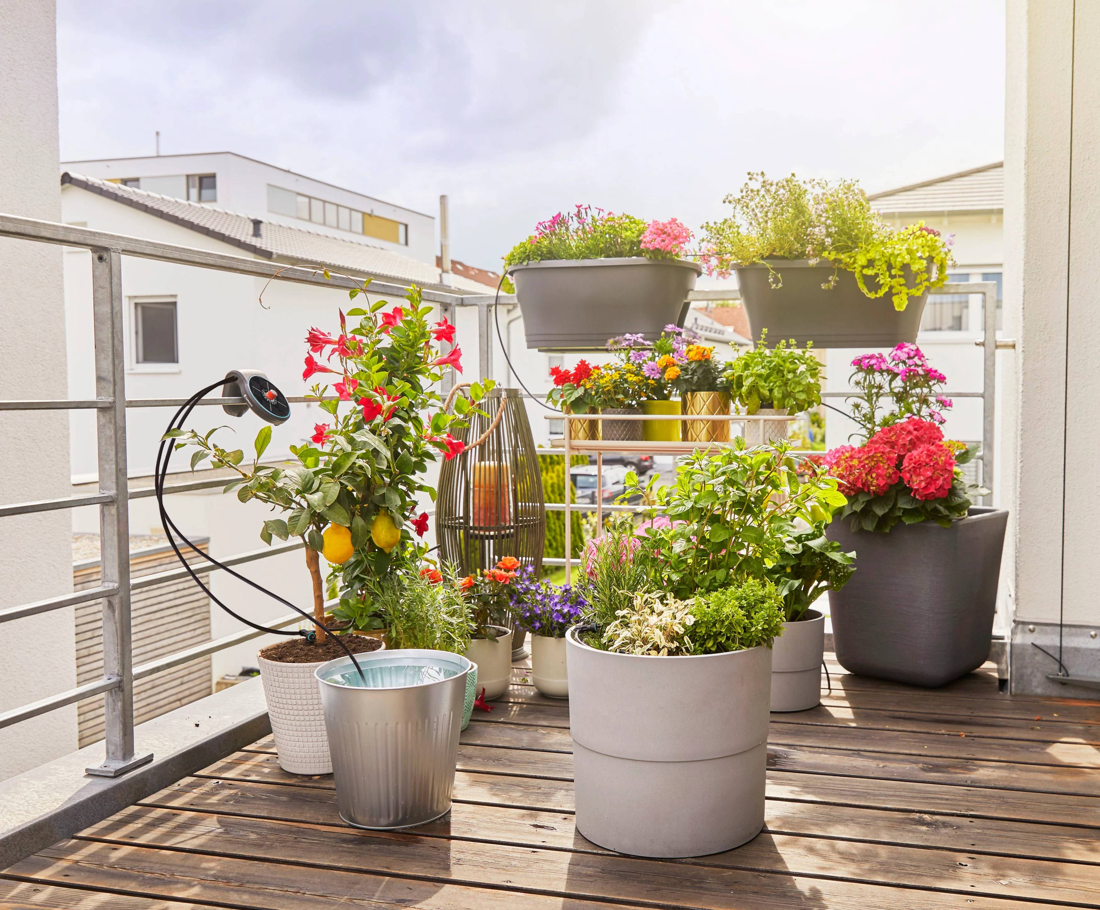 Gardena - Solution d'arrosage automatique solaire AquaBloom 14 programmes - Gardena - Image 7