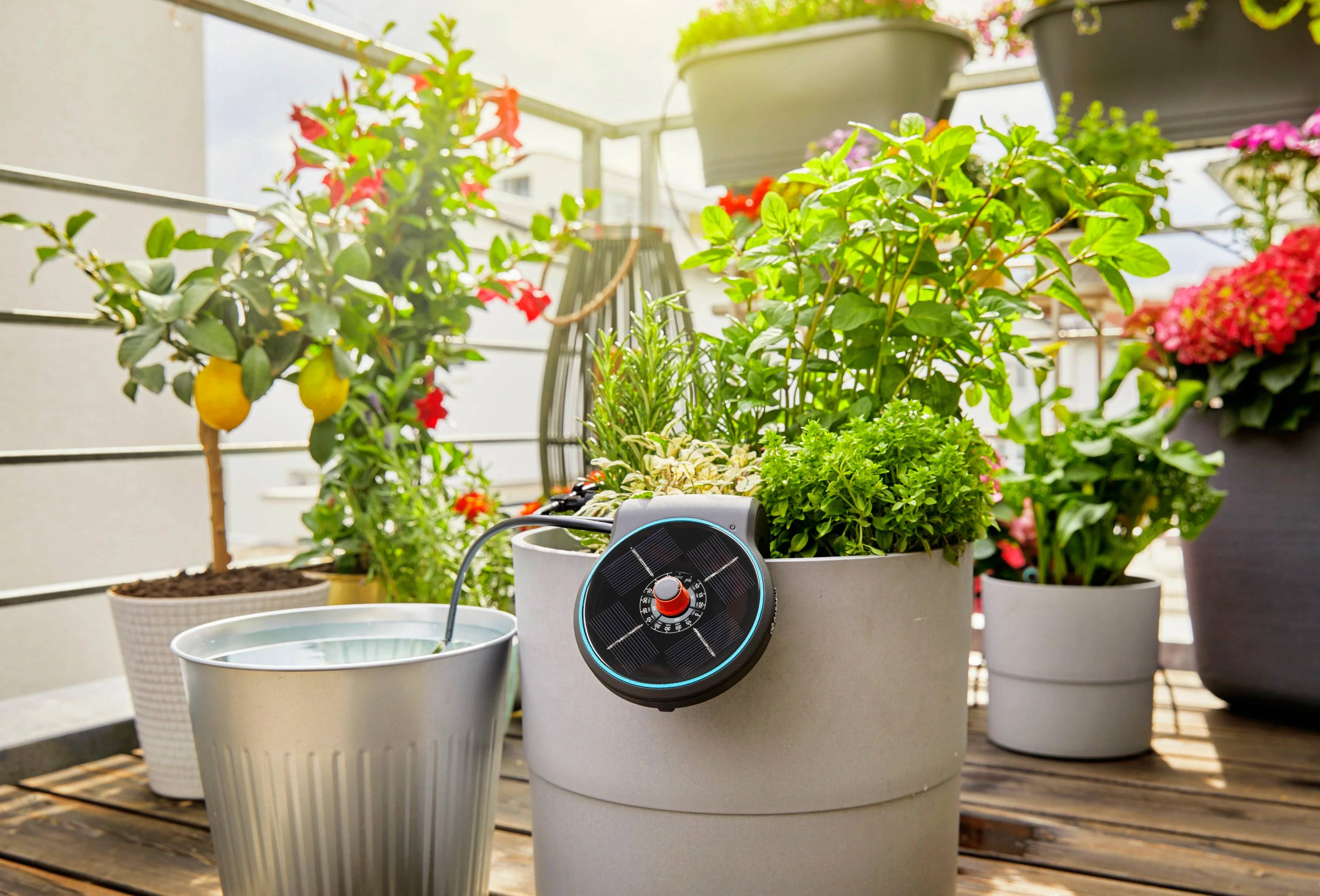 Gardena - Solution d'arrosage automatique solaire AquaBloom 14 programmes - Gardena - Image 11