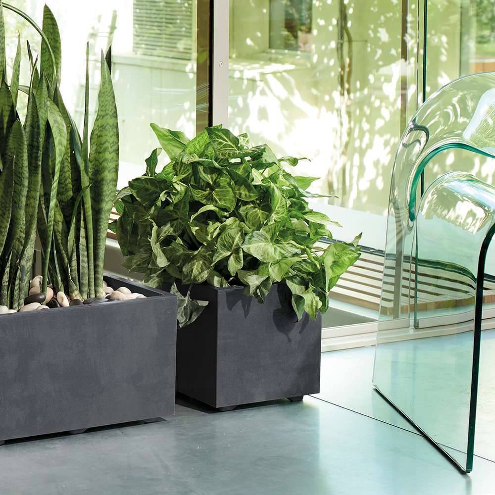 Deroma - Cubo con reserva de agua plástico antracita 25 cm - DEROMA - Imagen 4