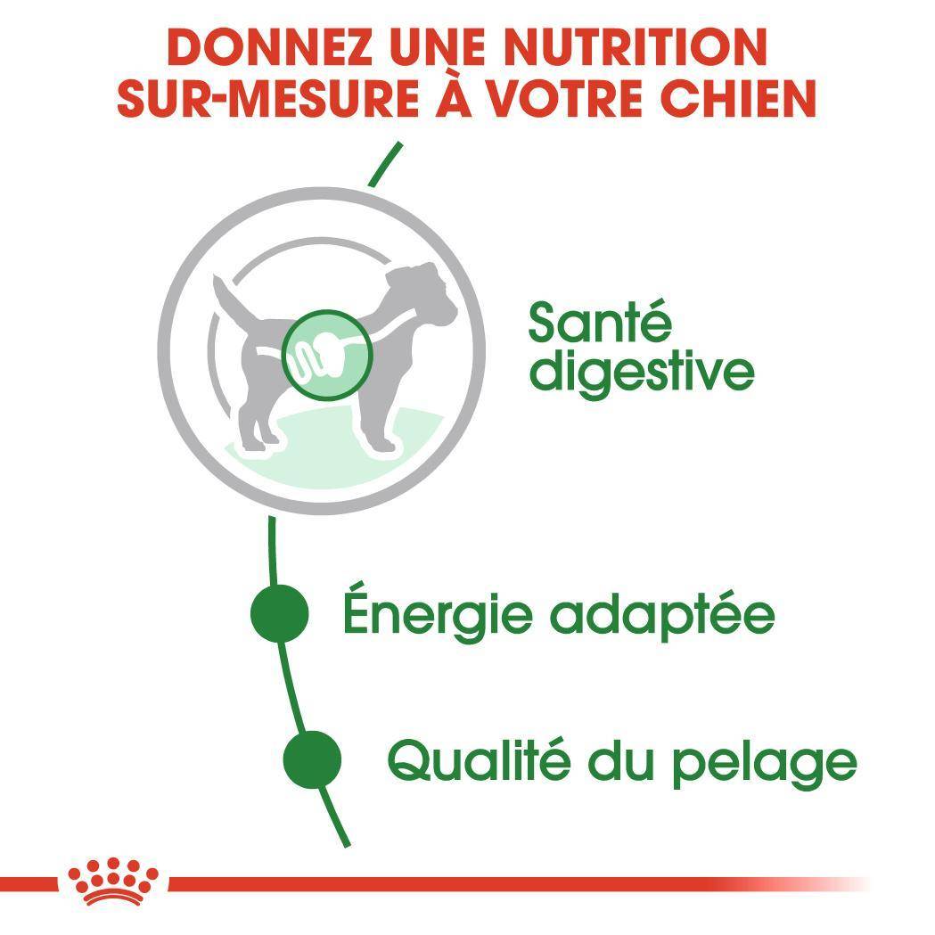 Royal Canin - Aliment chien mini adult – ROYAL CANIN - Imagen 4