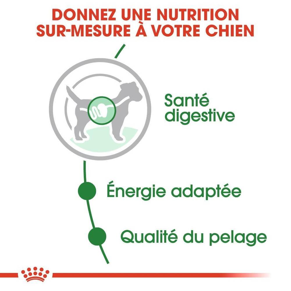 Royal Canin - Aliment chien mini adult – ROYAL CANIN - Imagen 11