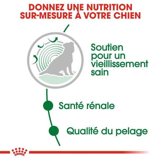 Royal Canin - Alimentation chien mini ageing12+ - ROYAL CANIN - Image 3