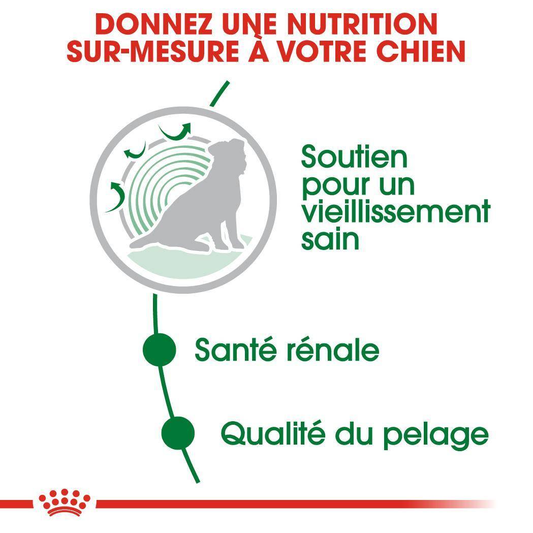 Royal Canin - Alimentation chien mini ageing12+ - ROYAL CANIN - Imagen 3