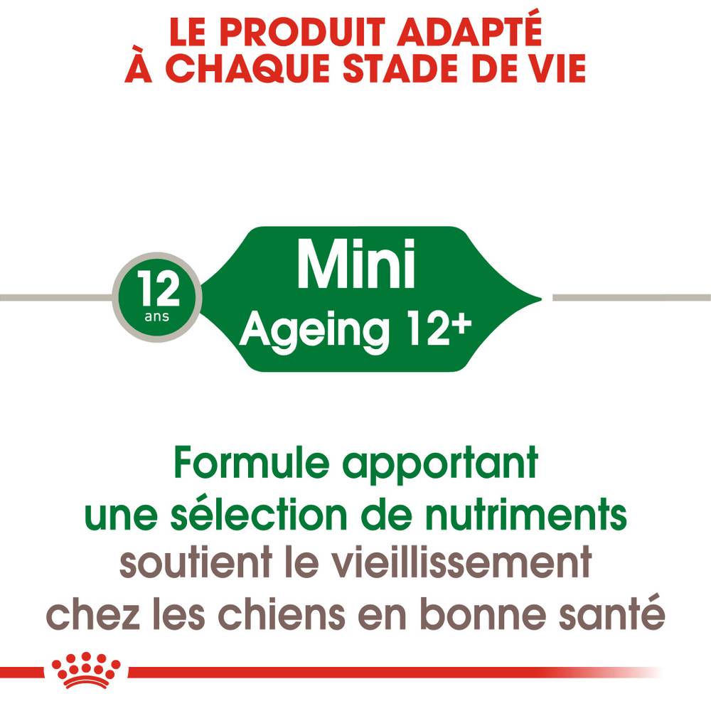 Royal Canin - Alimentation chien mini ageing12+ - ROYAL CANIN - Imagen 14