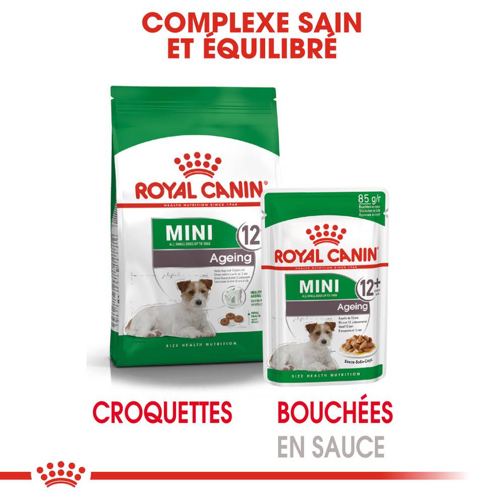 Royal Canin - Alimentation chien mini ageing12+ - ROYAL CANIN - Imagen 12
