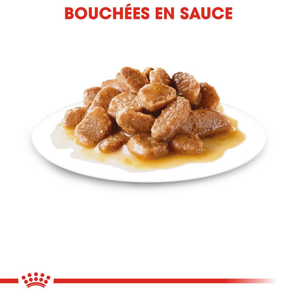 Royal Canin - Alimentation chien mini ageing12+ - ROYAL CANIN - Imagen 10