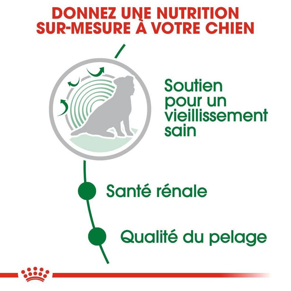 Royal Canin - Alimentation chien mini ageing12+ - ROYAL CANIN - Imagen 13