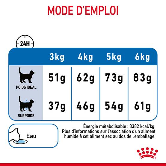 Royal Canin - Croquettes Chat Adulte - ROYAL CANIN - Image 4