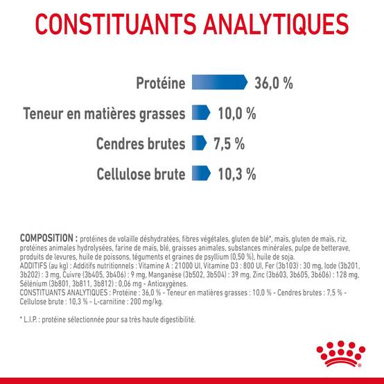 Royal Canin - Croquettes Chat Adulte - ROYAL CANIN - Image 7