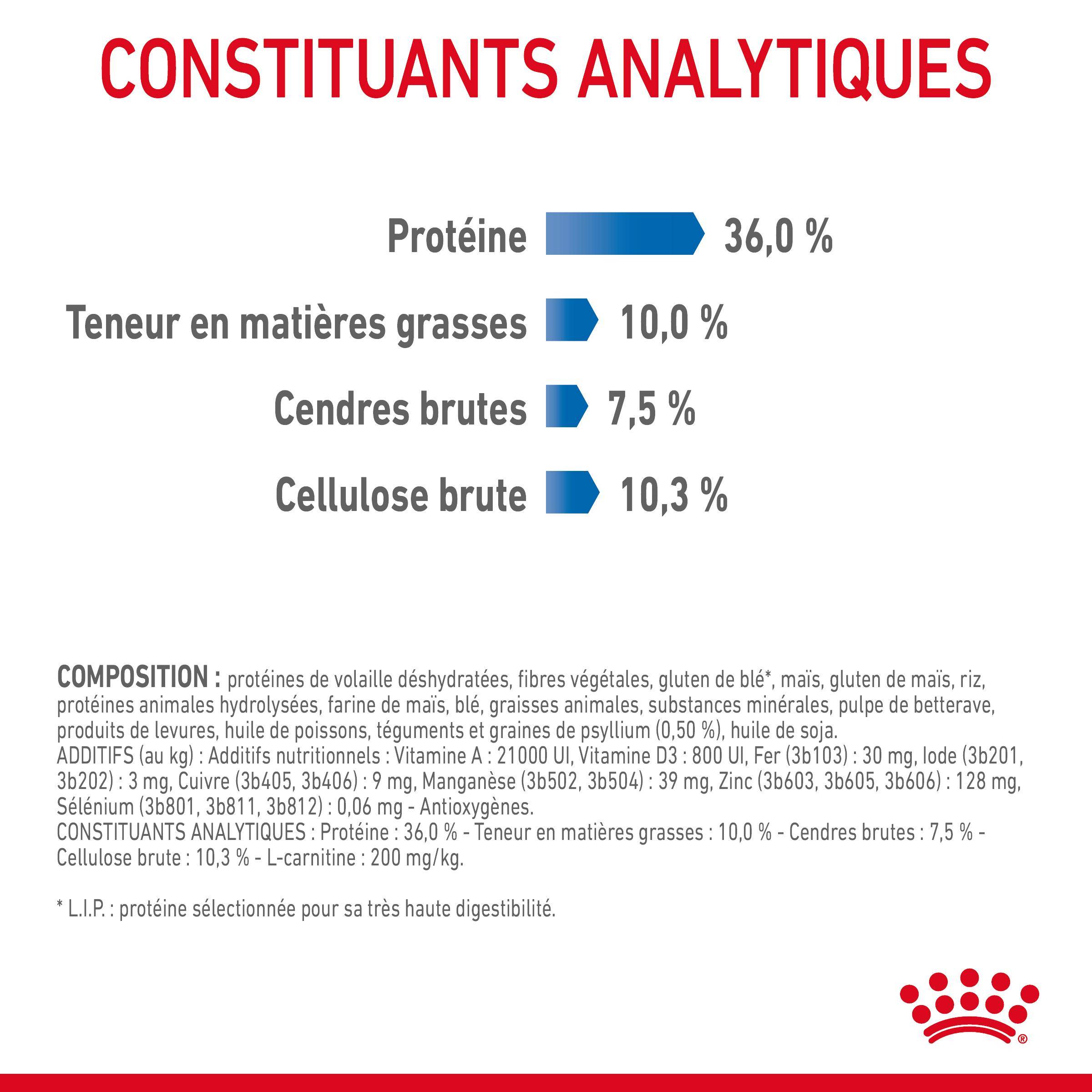 Royal Canin - Croquettes Chat Adulte - ROYAL CANIN - Image 7