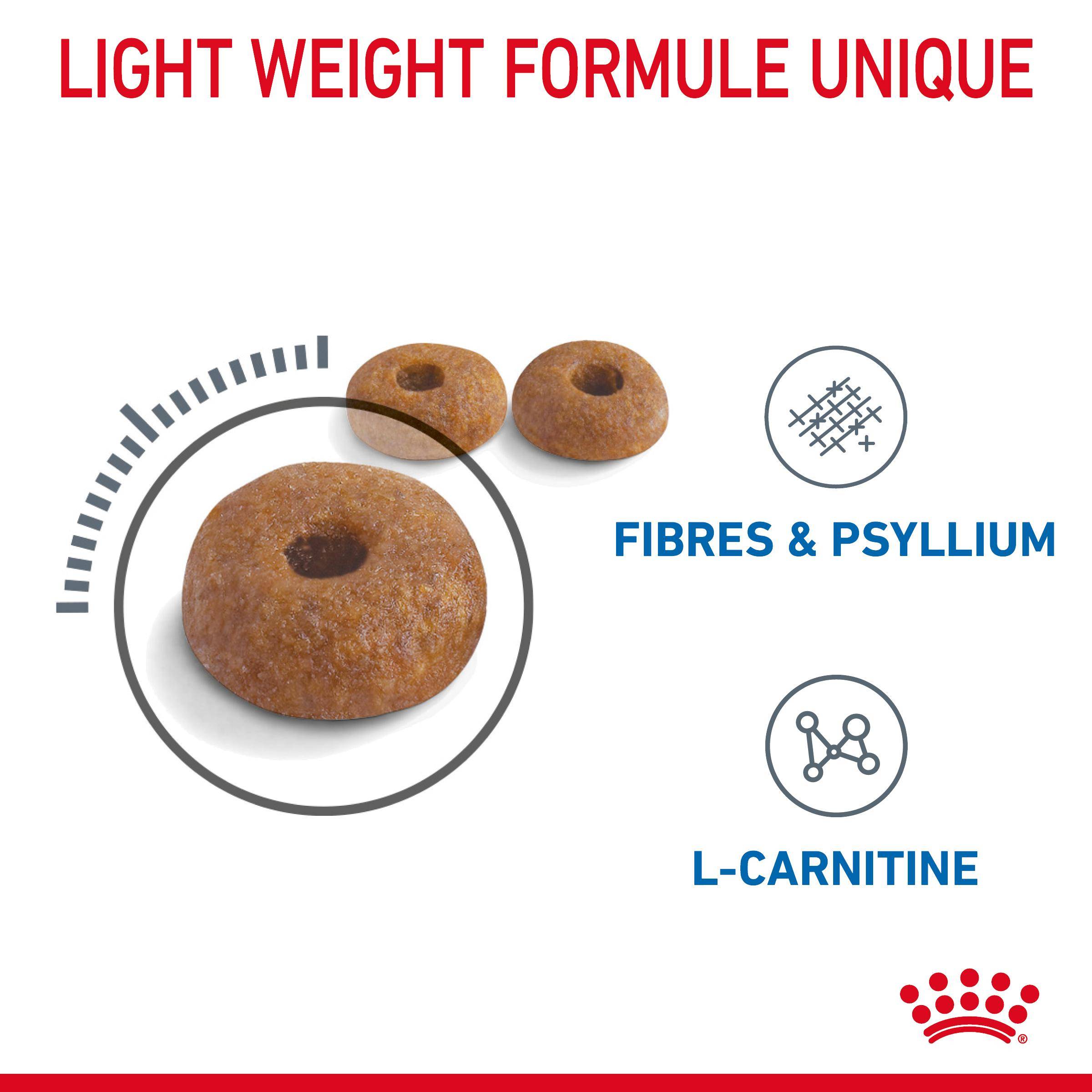 Royal Canin - Croquettes Chat Adulte - ROYAL CANIN - Image 8