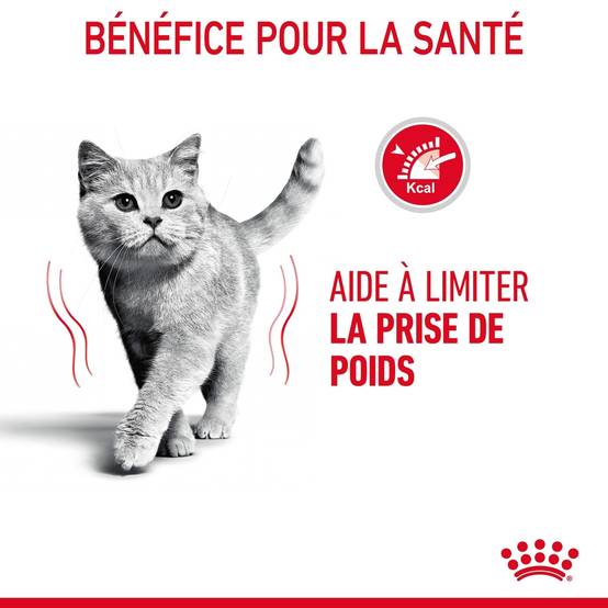 Royal Canin - Croquettes Chat Adulte - ROYAL CANIN - Image 12