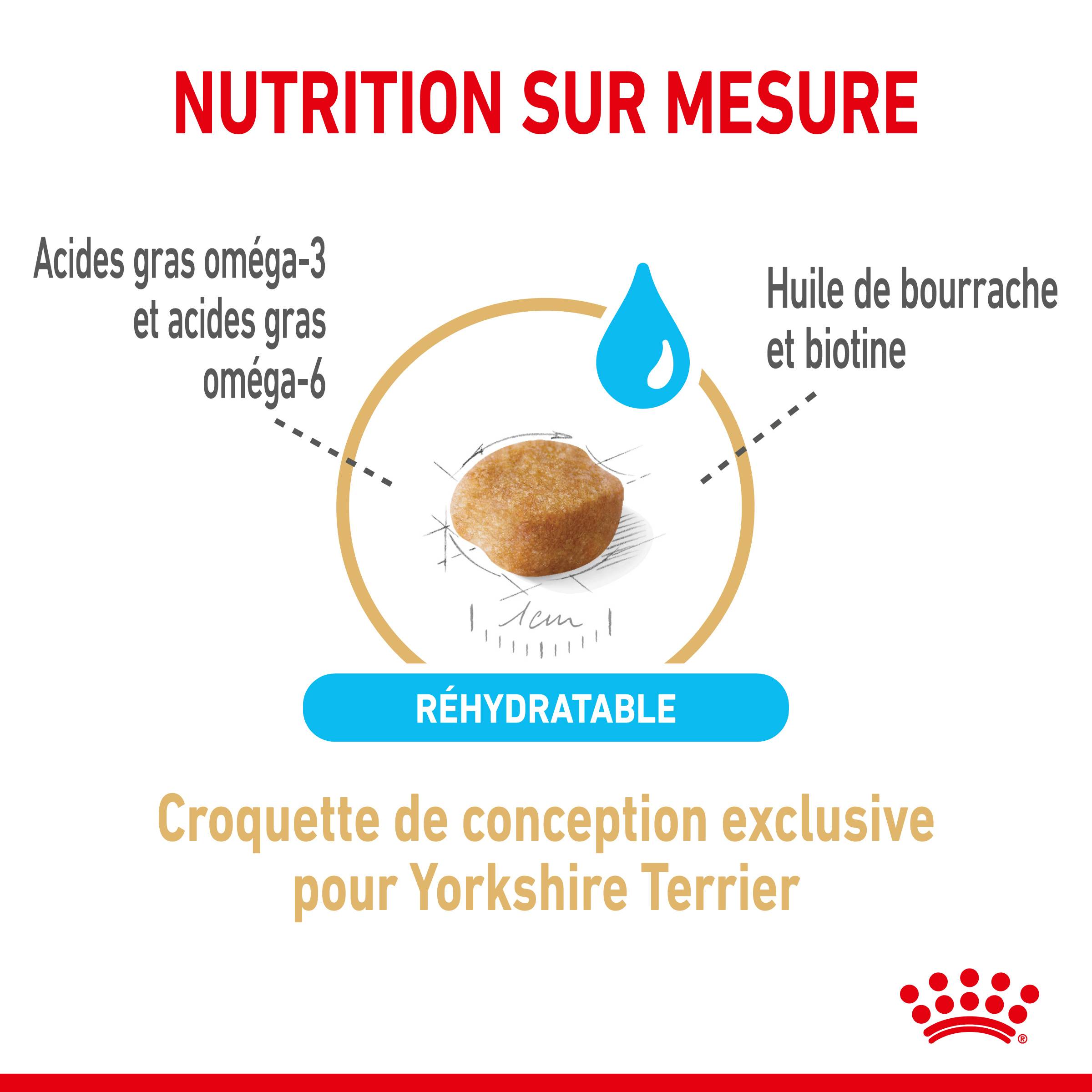 Royal Canin - Croquettes Chien Yorkshire Terrier Adulte 8+ - ROYAL CANIN - Image 3