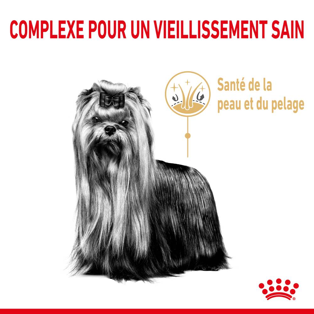 Royal Canin - Croquettes Chien Yorkshire Terrier Adulte 8+ - ROYAL CANIN - Image 8