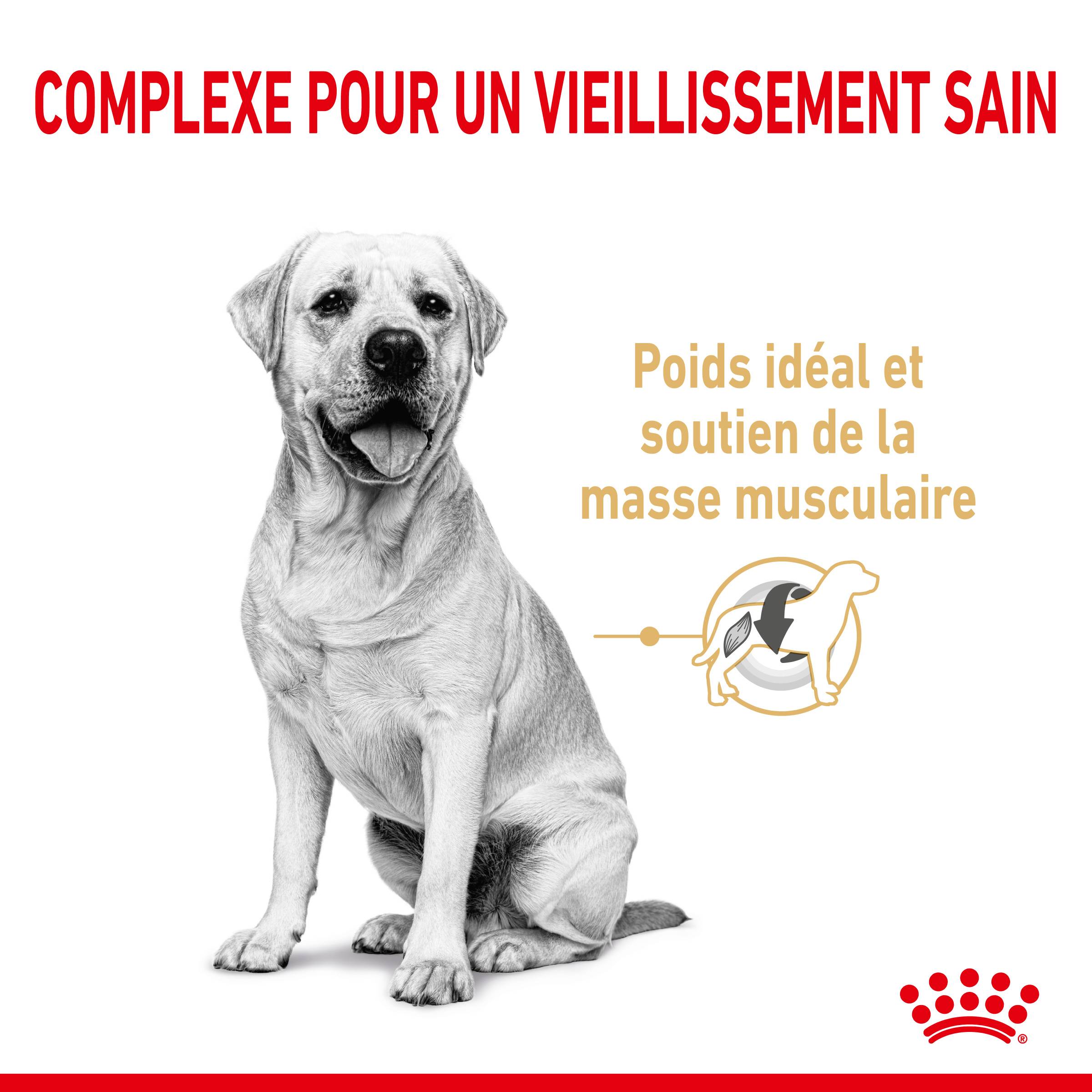 Royal Canin - Croquettes Chien Labrador Adulte 5+ - ROYAL CANIN - Image 4