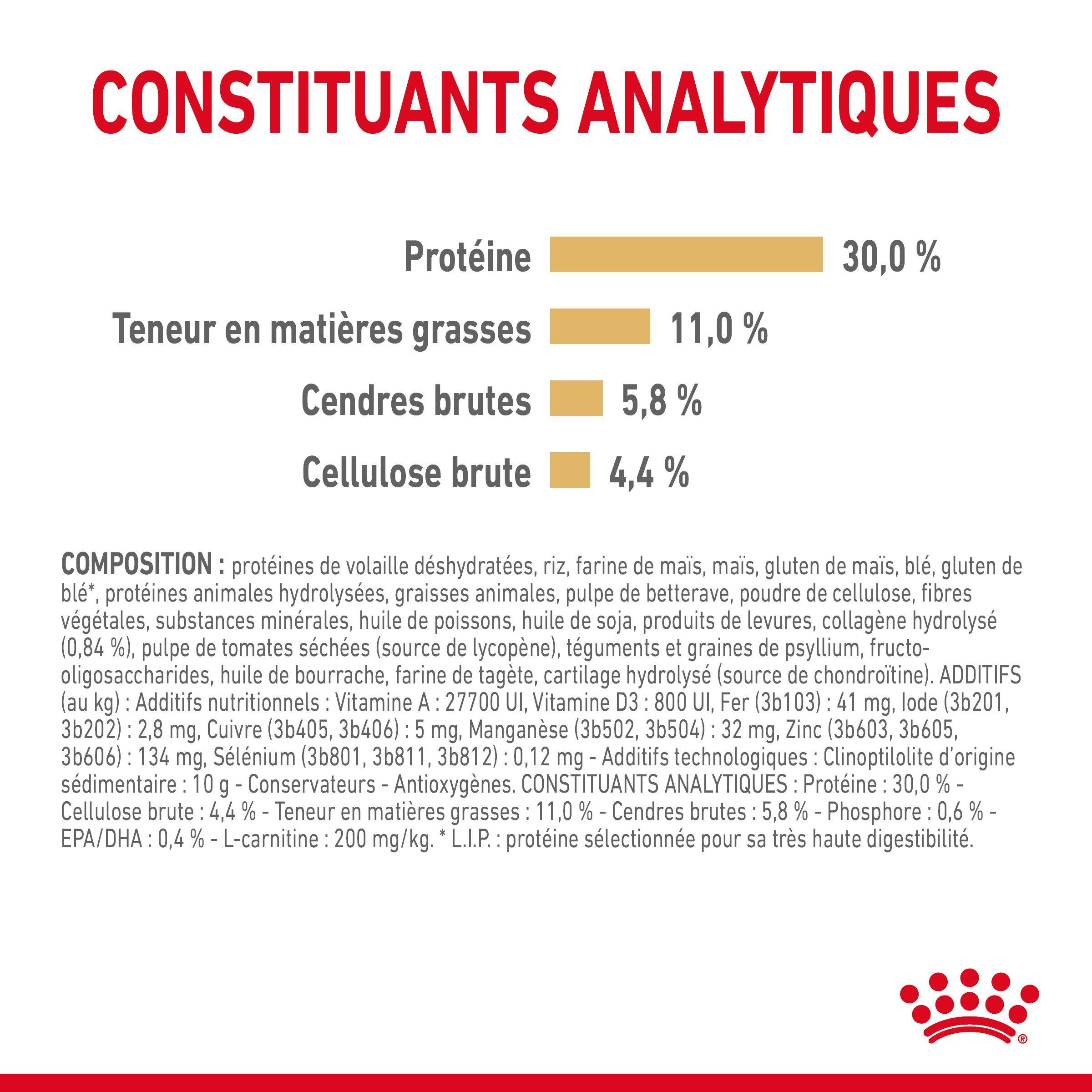 Royal Canin - Croquettes Chien Labrador Adulte 5+ - ROYAL CANIN - Image 3
