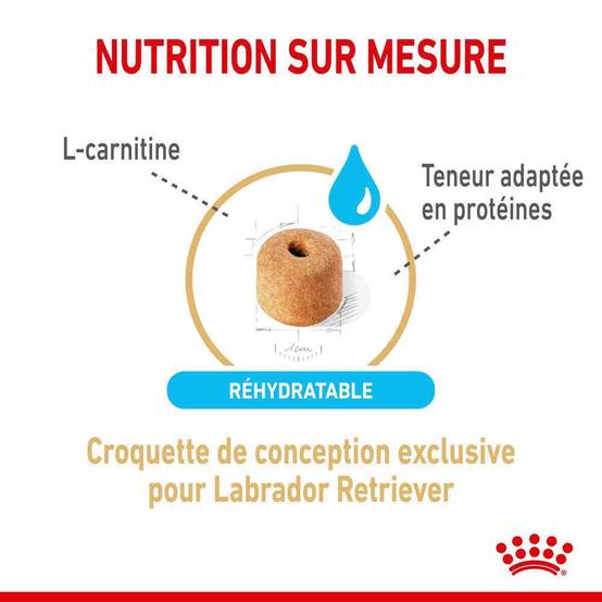 Royal Canin - Croquettes Chien Labrador Adulte 5+ - ROYAL CANIN - Image 8