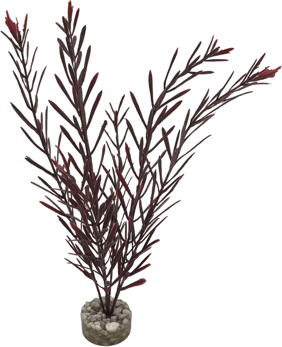 Labéo - Labéo - Décor Algue haute artificielle - Ø.12 x H.32 cm - Image 1