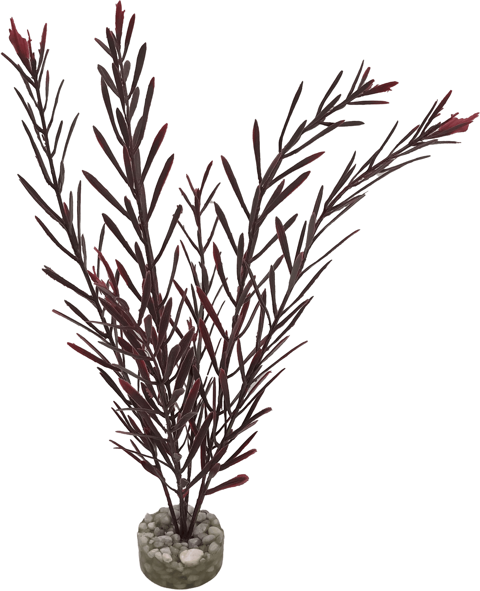 Labéo - Labéo - Décor Algue haute artificielle - Ø.12 x H.32 cm - Image 1