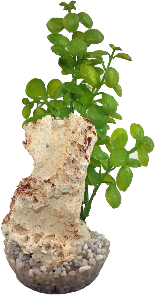 Labéo - Décor artificiel avec plante et roche - H.18 cm - Labéo - Image 2