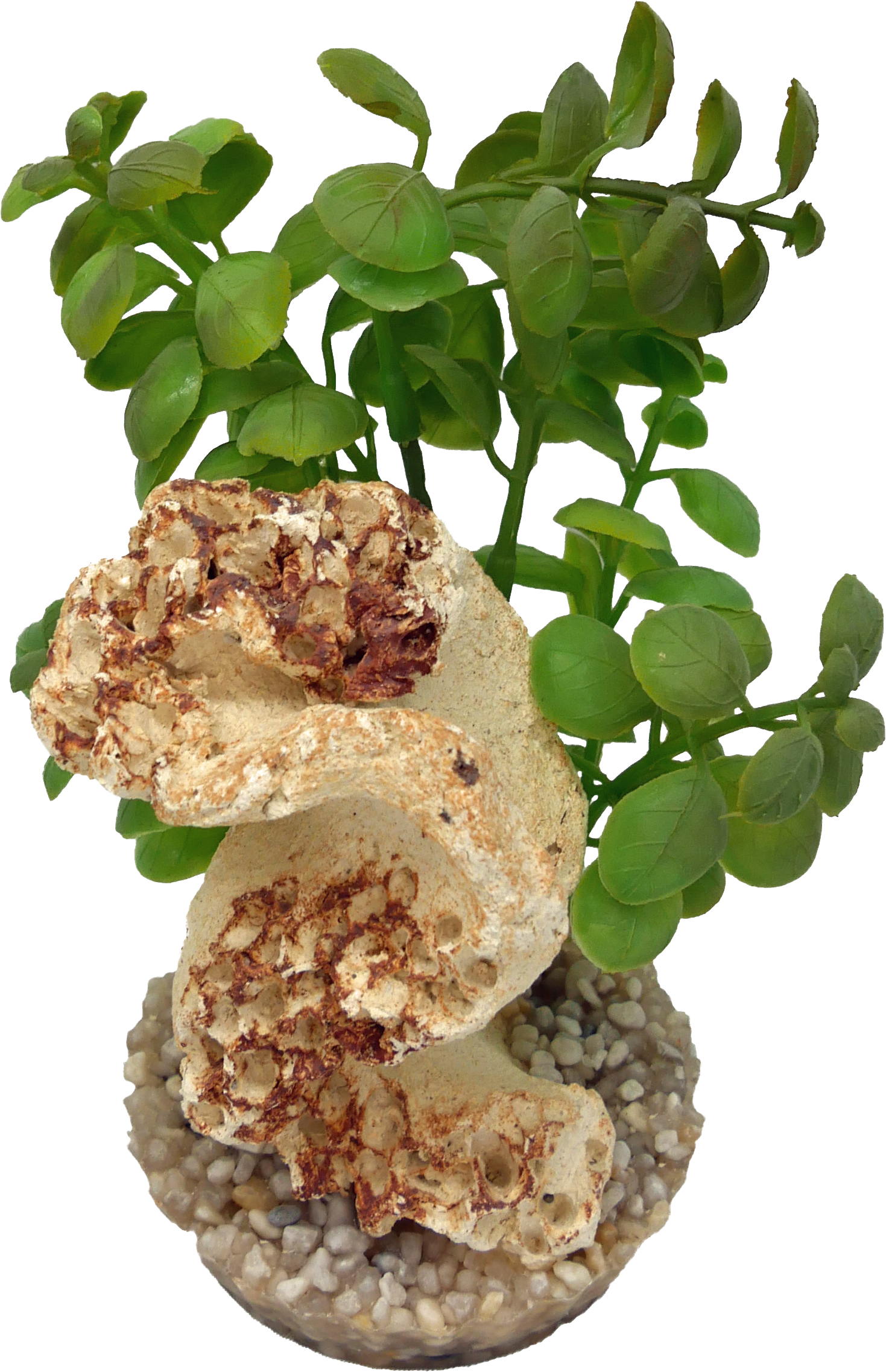 Labéo - Décor artificiel avec plante et roche - H.18 cm - Labéo
