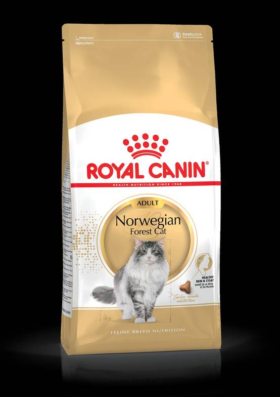Royal Canin - Croquettes Norwegian Forest Cat - ROYAL CANIN - Image 2