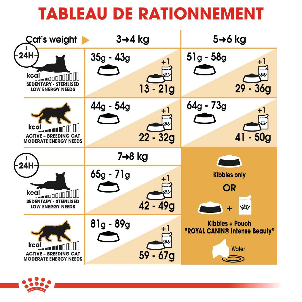 Royal Canin - Croquettes Norwegian Forest Cat - ROYAL CANIN - Image 5