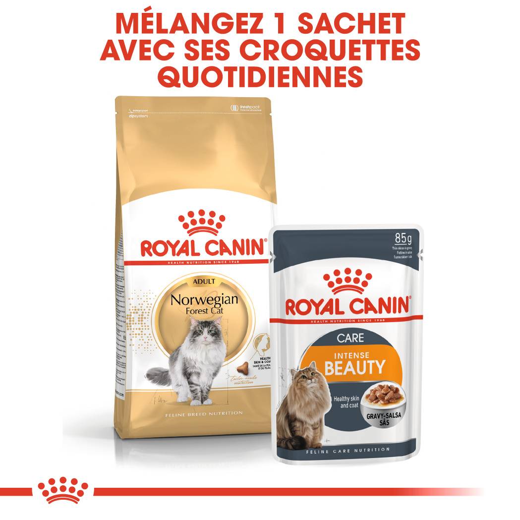 Royal Canin - Croquettes Norwegian Forest Cat - ROYAL CANIN - Image 7