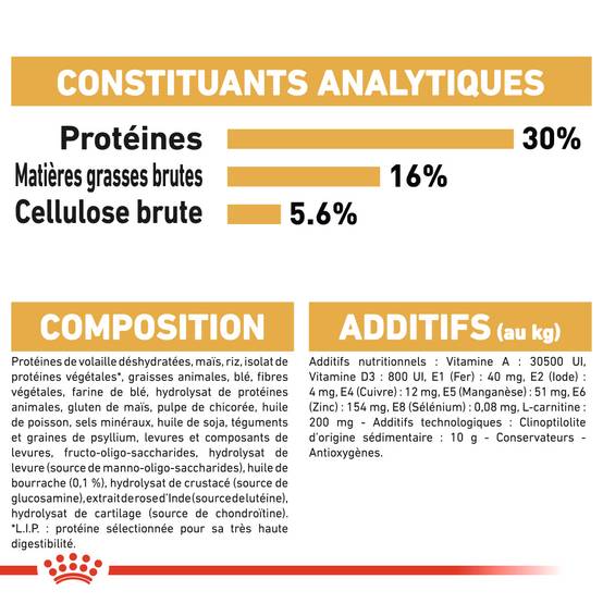 Royal Canin - Croquettes Norwegian Forest Cat - ROYAL CANIN - Image 3