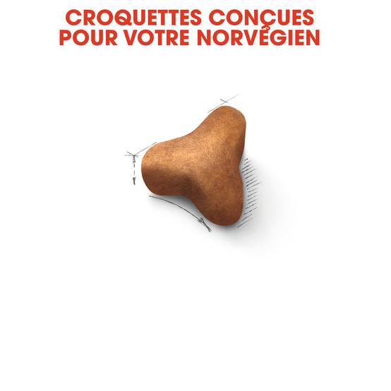 Royal Canin - Croquettes Norwegian Forest Cat - ROYAL CANIN - Image 8
