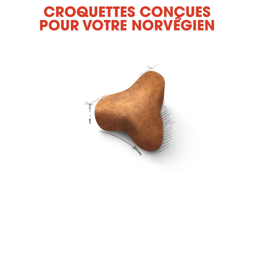 Royal Canin - Croquettes Norwegian Forest Cat - ROYAL CANIN - Image 8