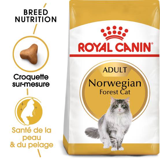 Royal Canin - Croquettes Norwegian Forest Cat - ROYAL CANIN - Image 1