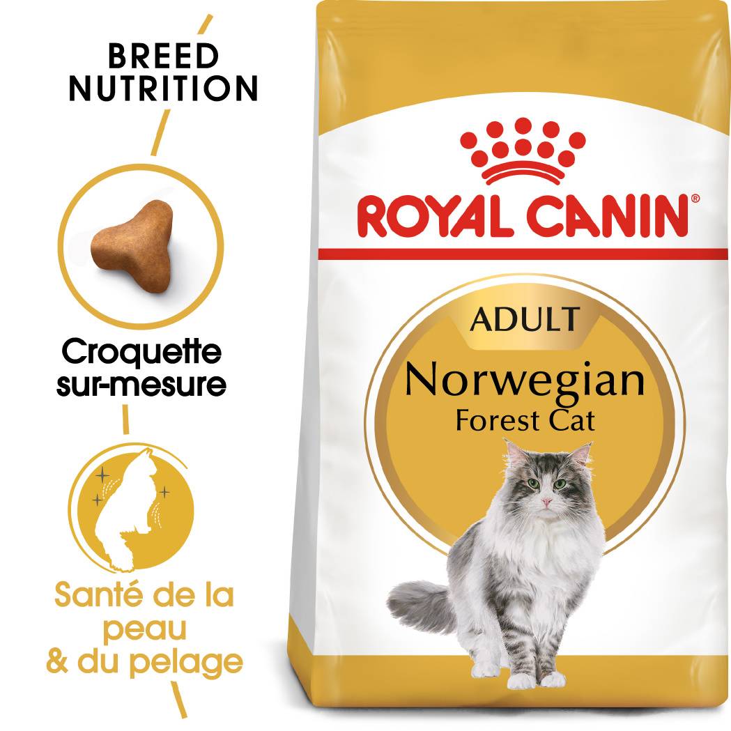 Royal Canin - Croquettes Norwegian Forest Cat - ROYAL CANIN - Image 1