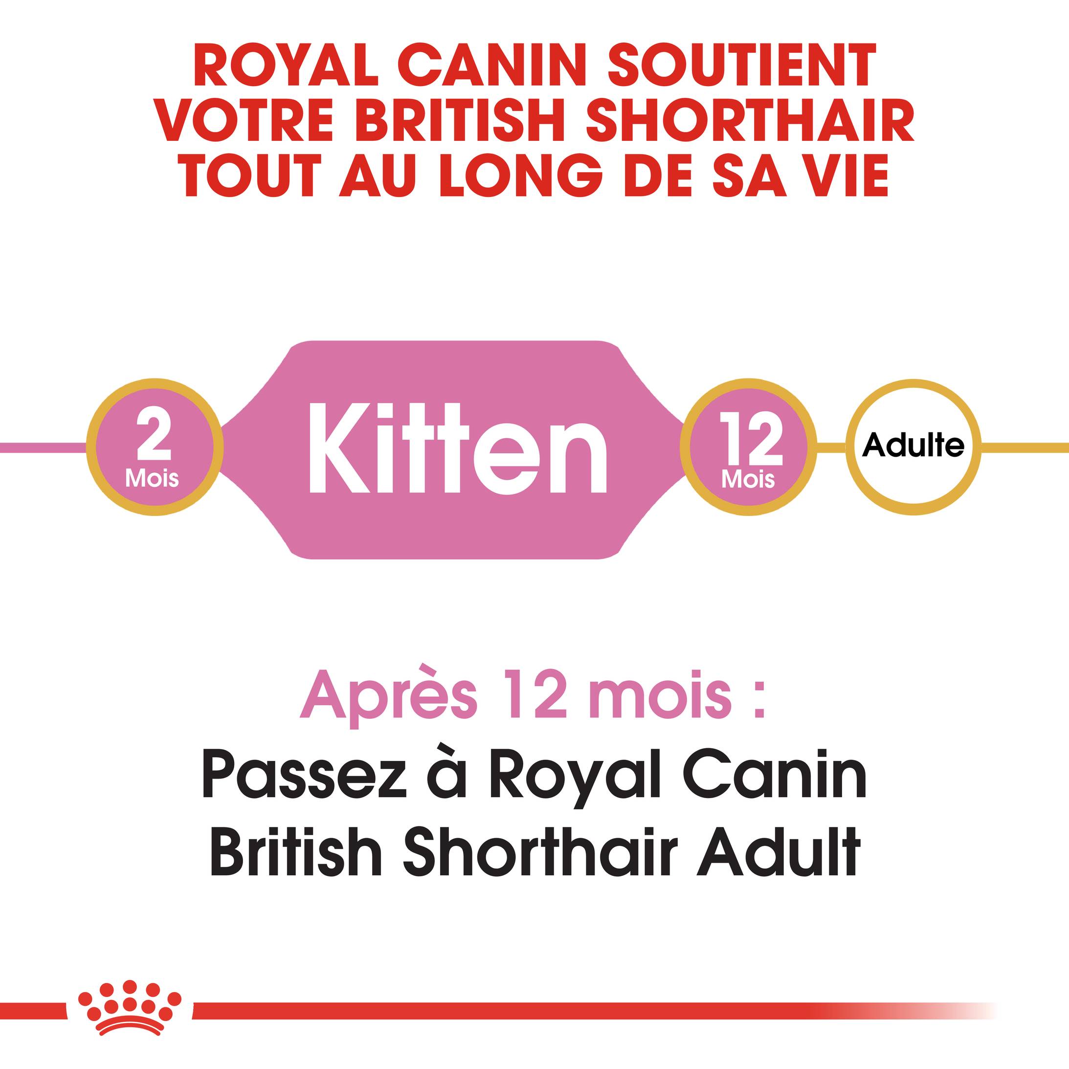 Royal Canin - Croquettes Chaton British Shorthair - ROYAL CANIN - Image 3