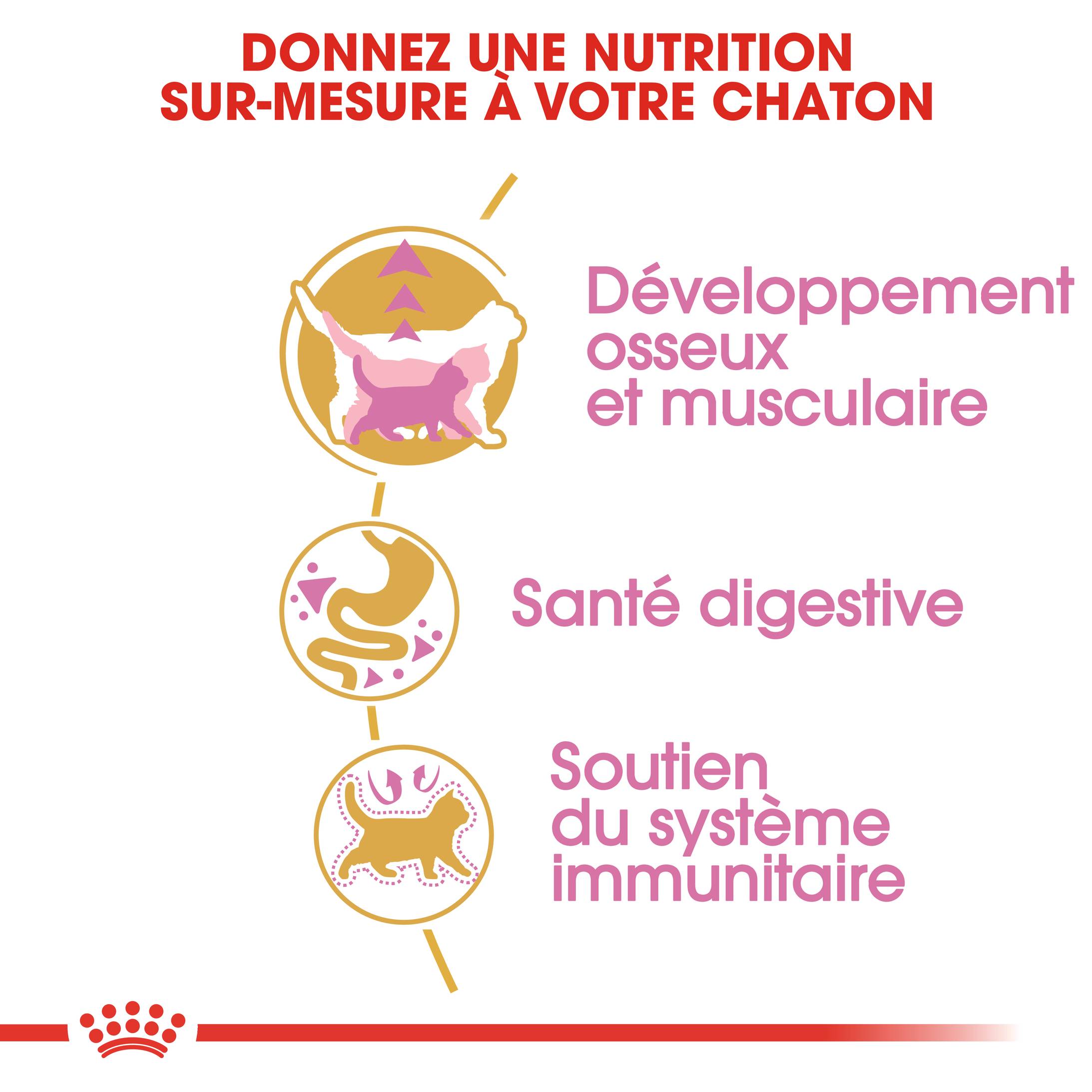 Royal Canin - Croquettes Chaton British Shorthair - ROYAL CANIN - Image 6