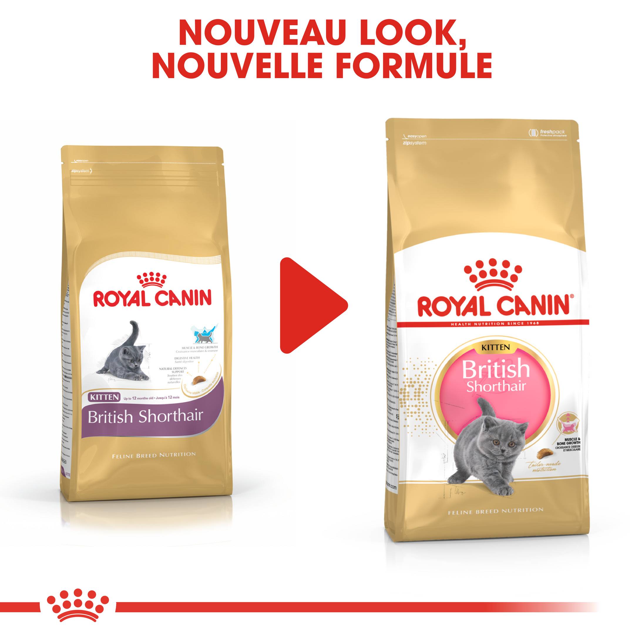 Royal Canin - Croquettes Chaton British Shorthair - ROYAL CANIN - Image 4