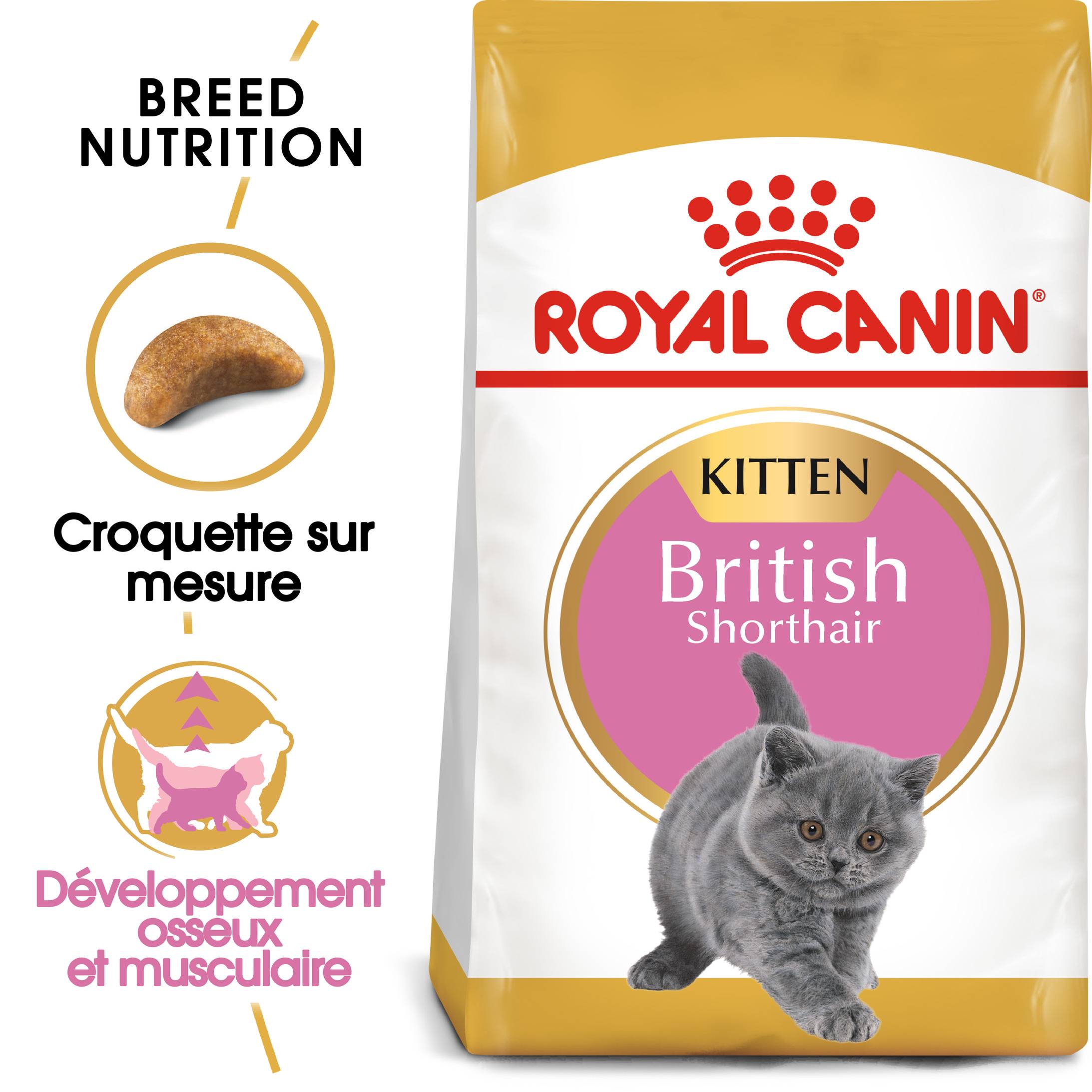 Royal Canin - Croquettes Chaton British Shorthair - ROYAL CANIN - Image 1