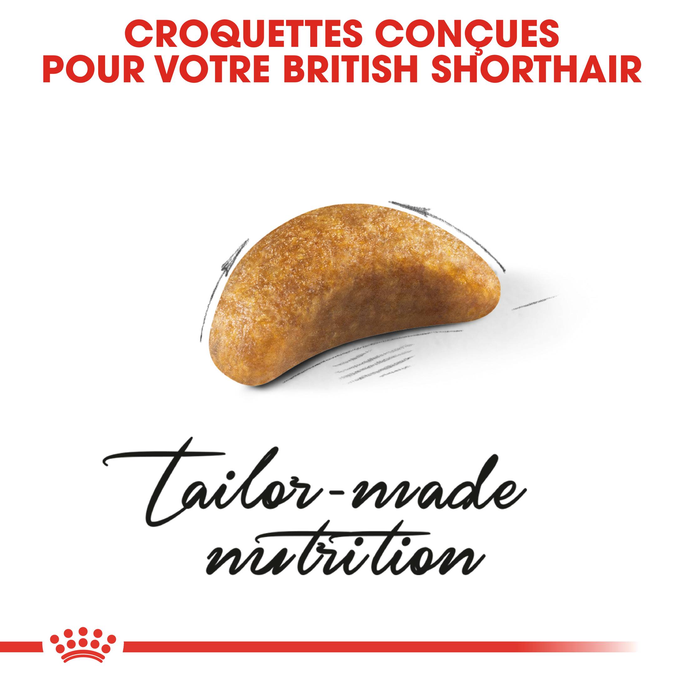 Royal Canin - Croquettes Chaton British Shorthair - ROYAL CANIN - Image 7