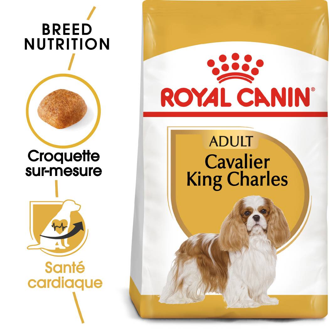 Royal Canin - Croquettes pour Chien Cavalier King Charles - ROYAL CANIN