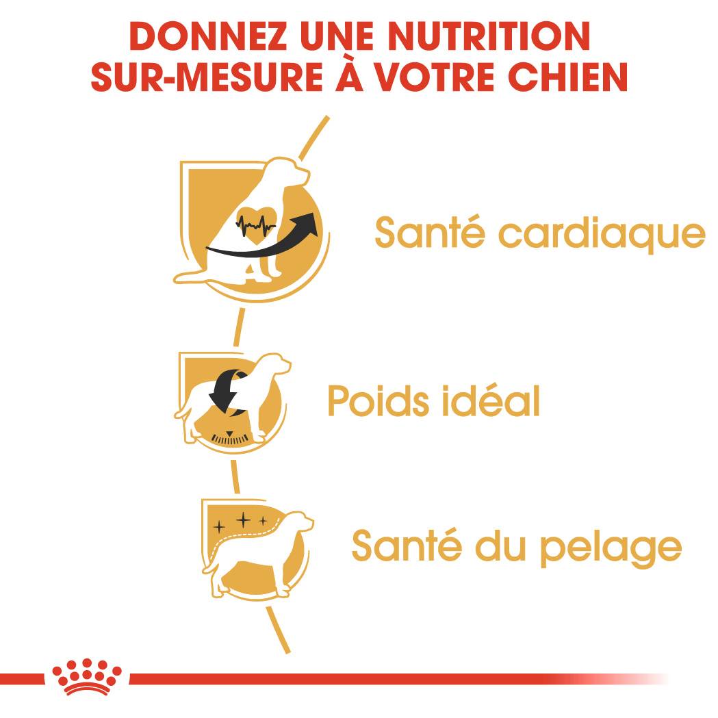 Royal Canin - Croquettes pour Chien Cavalier King Charles - ROYAL CANIN - Image 5