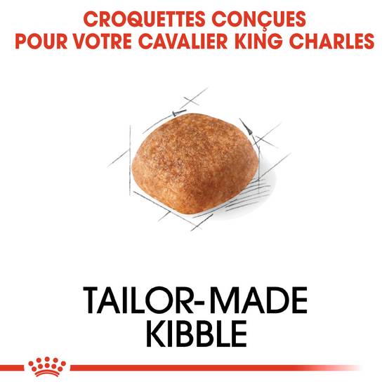Royal Canin - Croquettes pour Chien Cavalier King Charles - ROYAL CANIN - Image 6