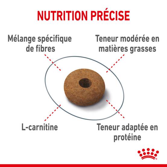 Royal Canin - Croquettes Chat Appetite Control Sterilised - ROYAL CANIN - Image 11