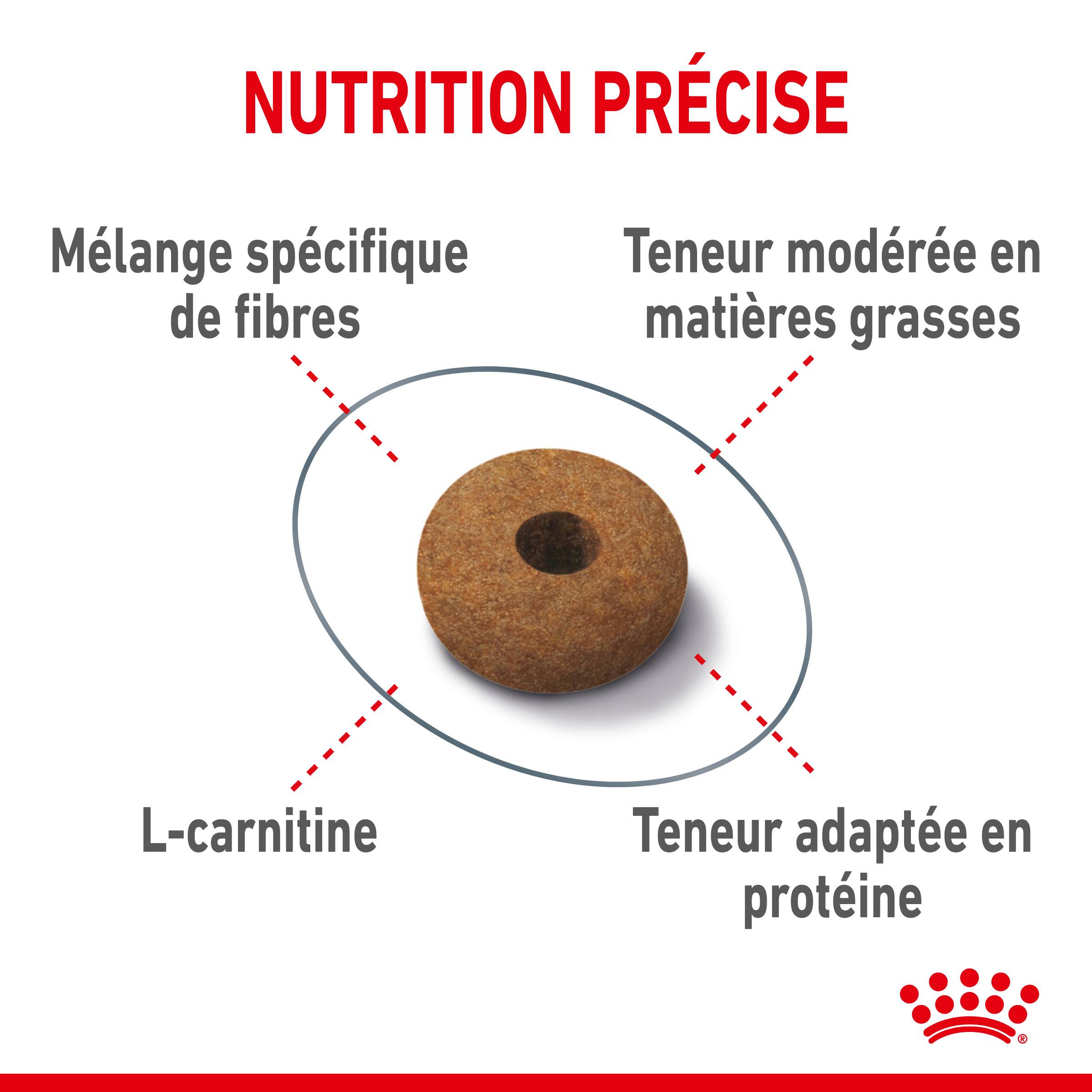 Royal Canin - Croquettes Chat Appetite Control Sterilised - ROYAL CANIN - Image 11