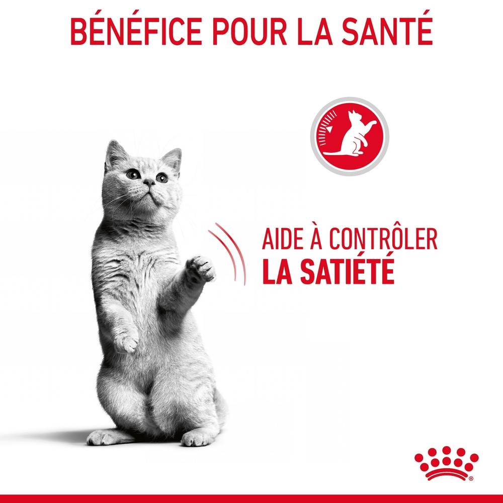 Royal Canin - Croquettes Chat Appetite Control Sterilised - ROYAL CANIN - Image 8
