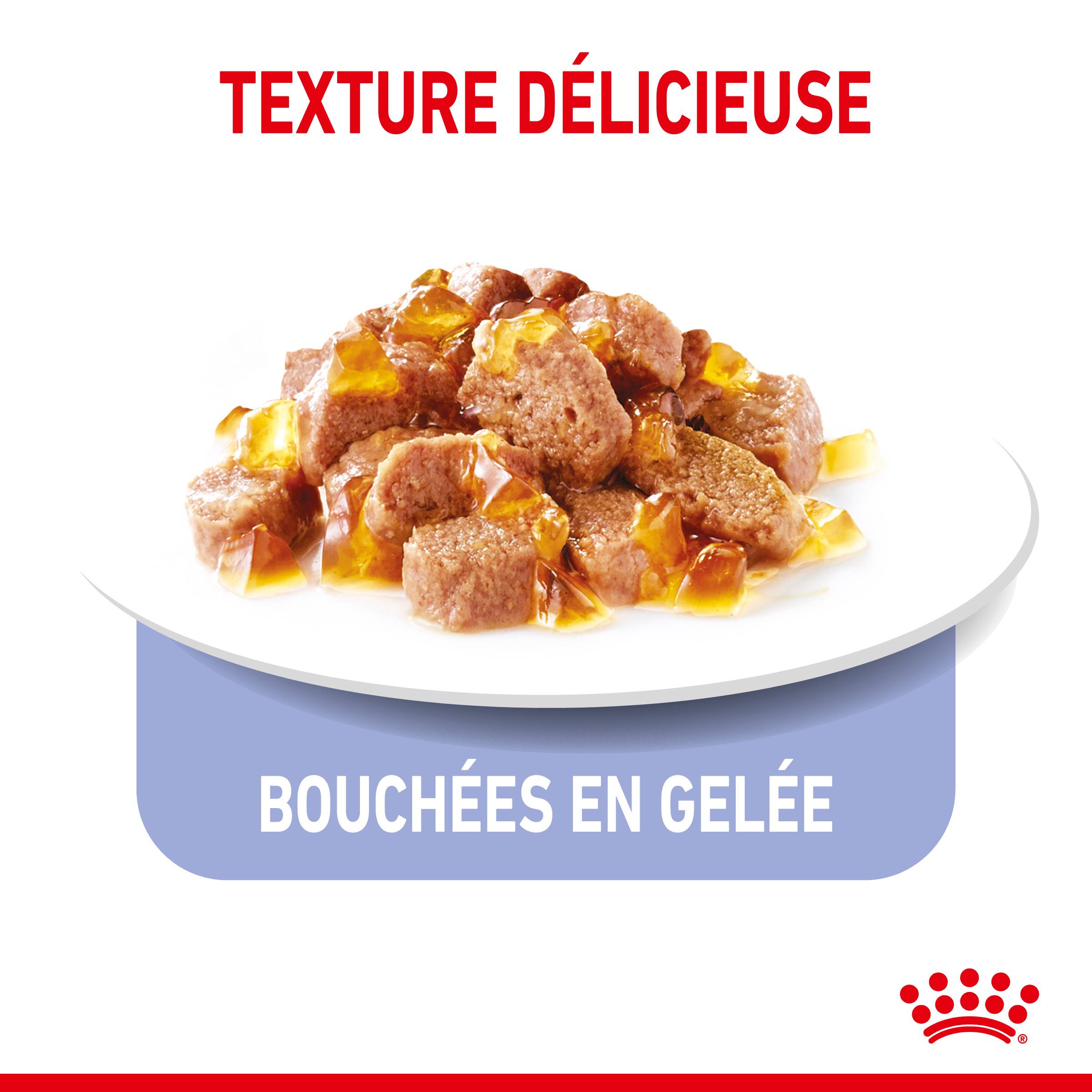 Royal Canin - Aliment chat APPETITE CONTROL CARE - ROYAL CANIN - Image 4